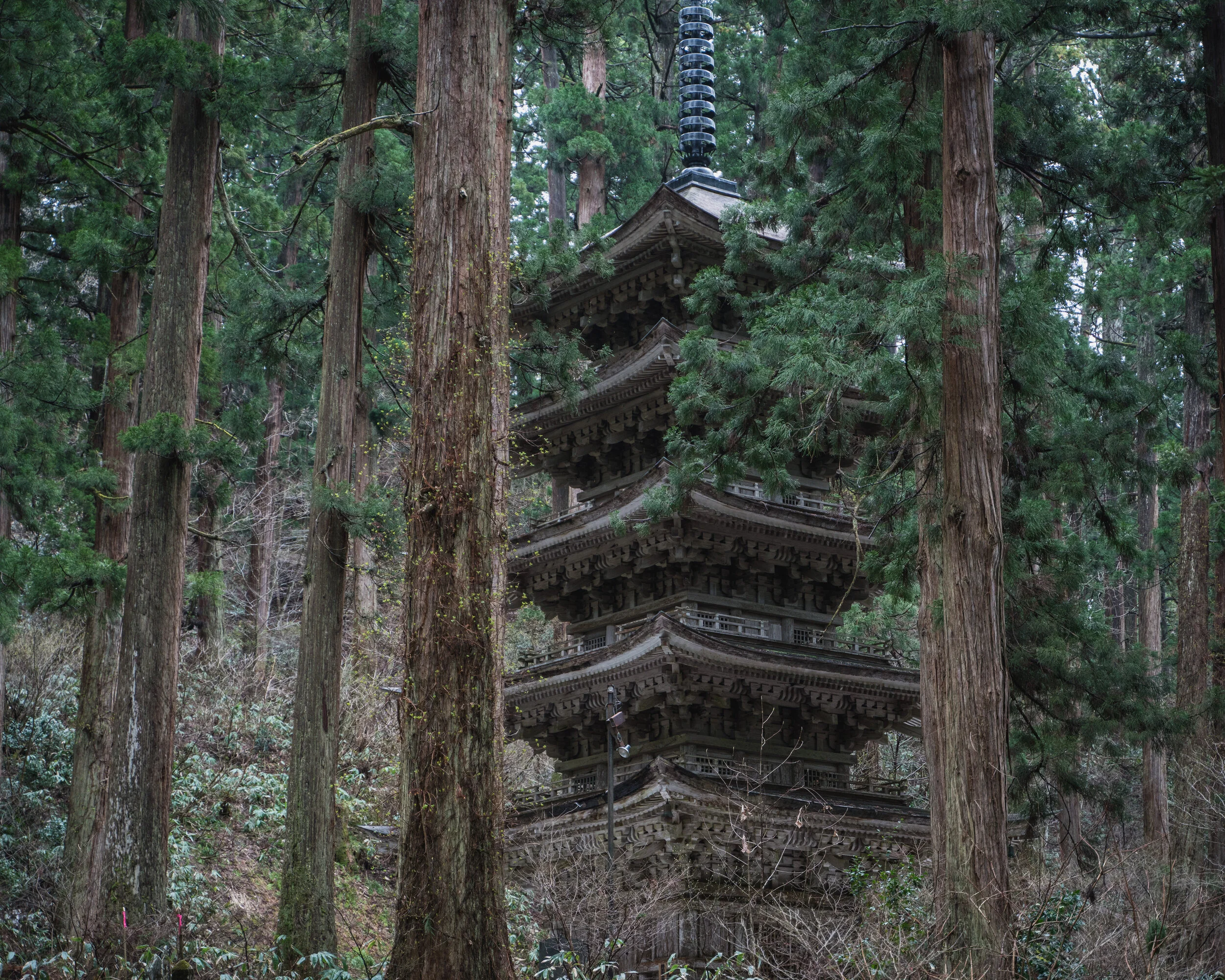 Yamabushi Monk Tour — wondertrunk&co.